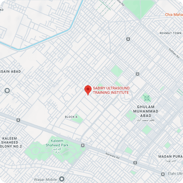 Prof. Dr. Sabir Ali Butt